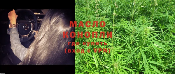 молекула духа Козельск