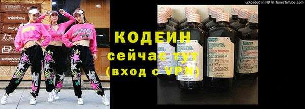 молекула духа Козельск