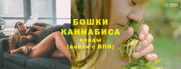 молекула духа Козельск
