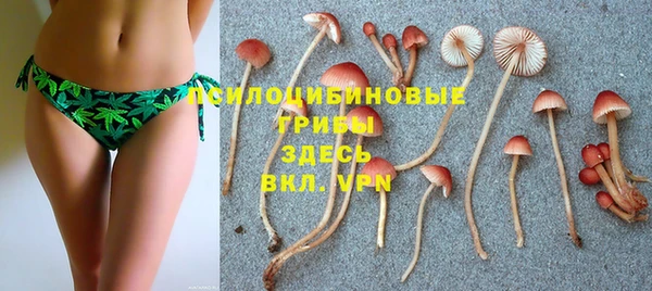 молекула духа Козельск