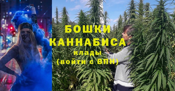 молекула духа Козельск
