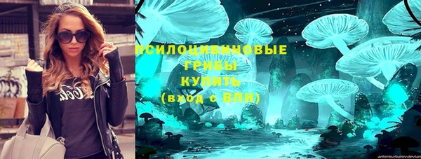 СК Козловка