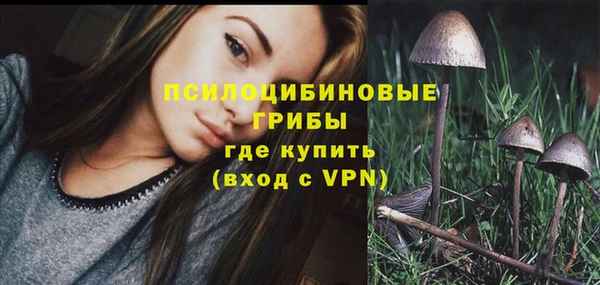 СК Козловка