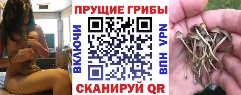 Купить закладки  Архангельск  Галлюциногенные грибы Cubensis 